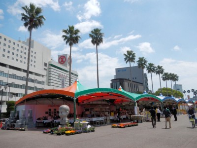 ストーンフェア2014