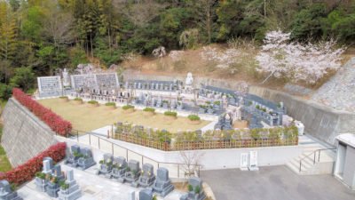 桜の園　2020年の桜