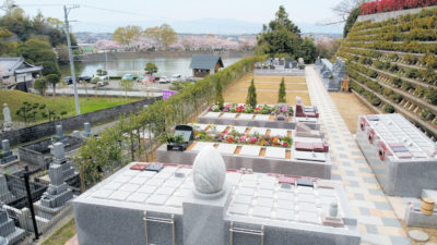 蓮・樹木葬・いどろり　2020年の桜