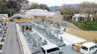 特別区　2020年の桜