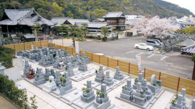 観音霊園　2020年の桜